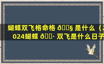 蝴蝶双飞格命格 🐧 是什么（2024蝴蝶 🕷 双飞是什么日子）